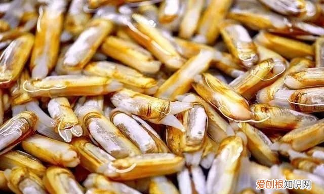 新鲜的海鲜怎么弄最好 海鲜怎么洗才干净?