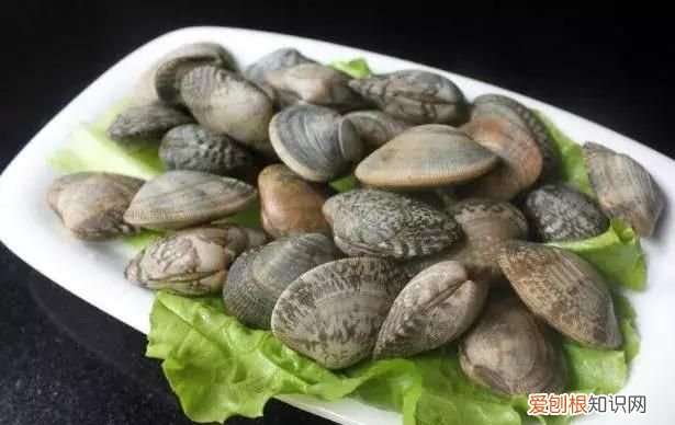 新鲜的海鲜怎么弄最好 海鲜怎么洗才干净?