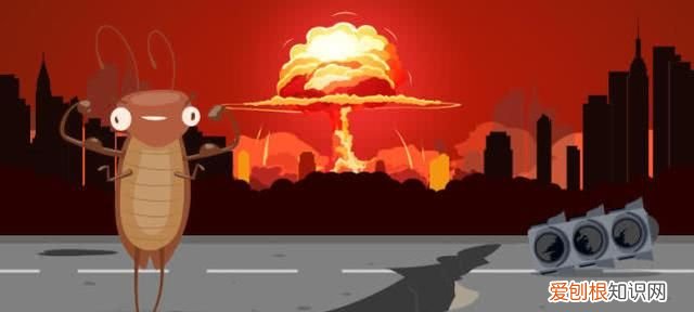 顽强的蟑螂真的能在核爆中幸存下来吗