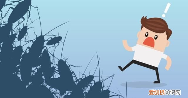 顽强的蟑螂真的能在核爆中幸存下来吗