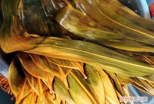 蒸不带粽叶的粽子的步骤,粽子叶用水煮过后还要用凉水泡吗
