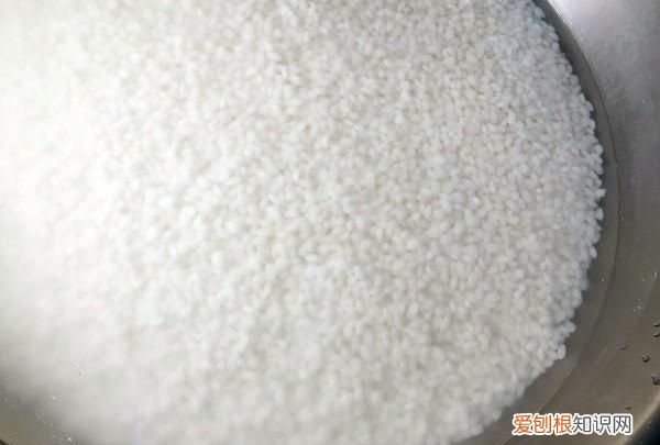 蒸不带粽叶的粽子的步骤,粽子叶用水煮过后还要用凉水泡吗