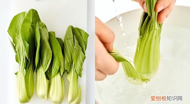 如何冷冻保存绿叶菜,青菜绿叶菜