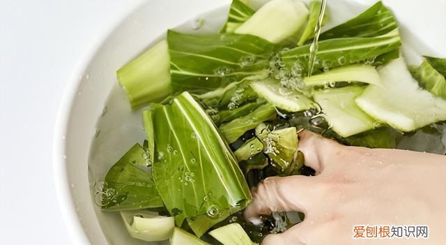 如何冷冻保存绿叶菜,青菜绿叶菜