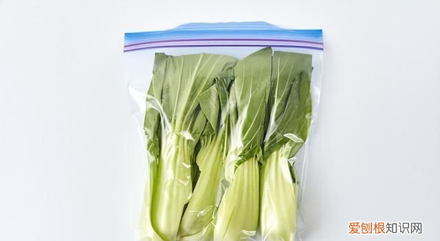 如何冷冻保存绿叶菜,青菜绿叶菜
