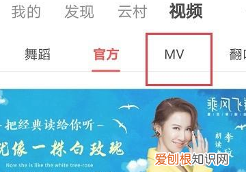 网易云音乐mv怎么看,网易云音乐在线听歌