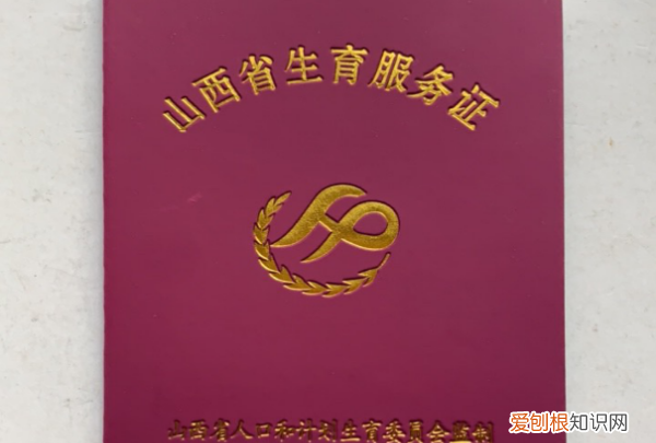 生育服务证是什么东西，计划生育服务证是什么东西