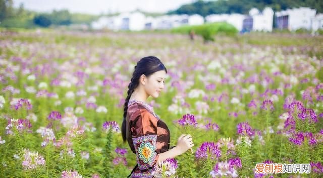 中国四大古镇旅游景点黄姚古镇