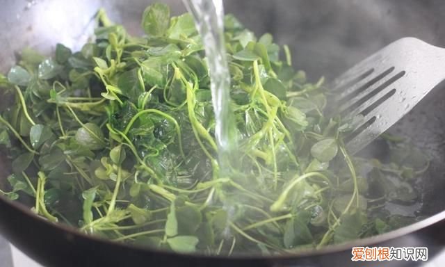 春天不吃这菜太亏了又香又嫩
