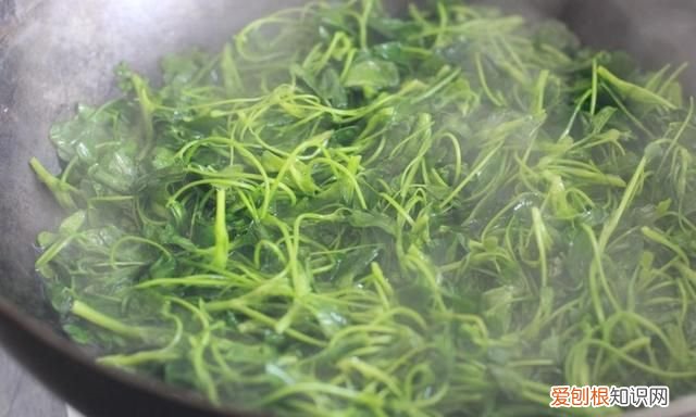 春天不吃这菜太亏了又香又嫩