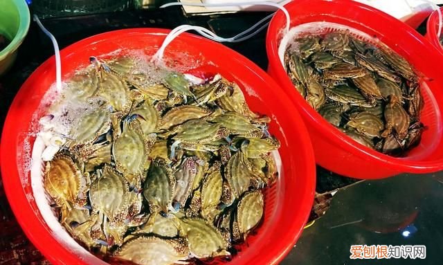 肥美当季的梭子蟹可以这样吃