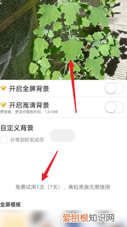 手机qq空间背景怎么弄，qq空间背景图怎么免费自定义永久