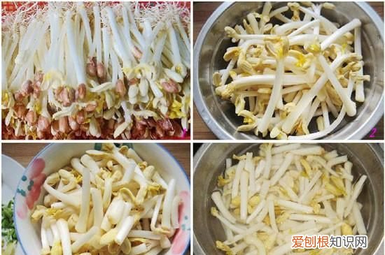 发芽的花生有什么功效,盖膜种花生花生发芽后怎么处理