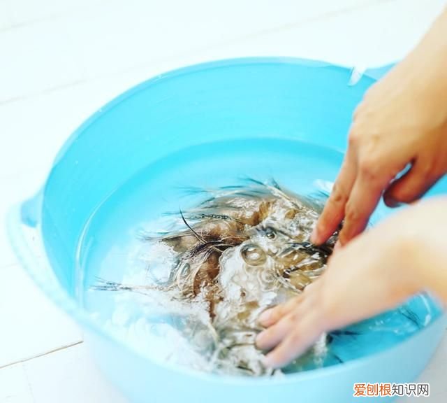 羽绒服毛衣怎么洗不缩水 毛衣羽绒服清洗