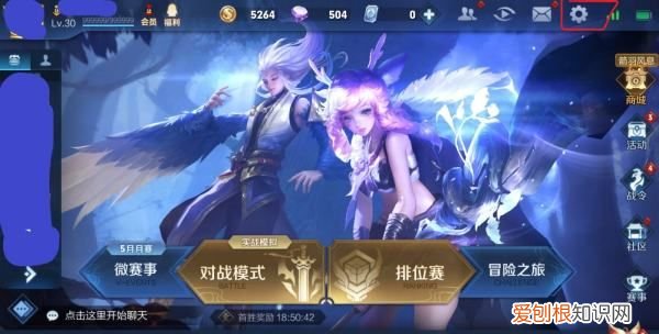 王者荣耀贵族显示怎么关闭，王者荣耀贵族标志怎么关闭