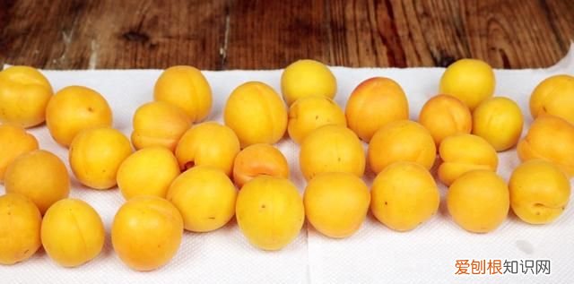 自制杏子酒几年了可以喝吗,自制杏子酒的正确方法