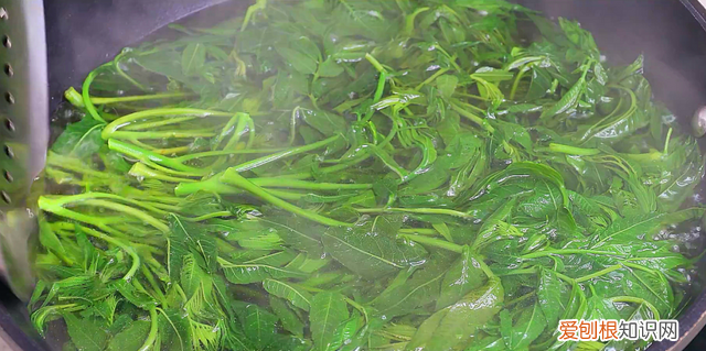 储存香椿的好方法放一年都特新鲜