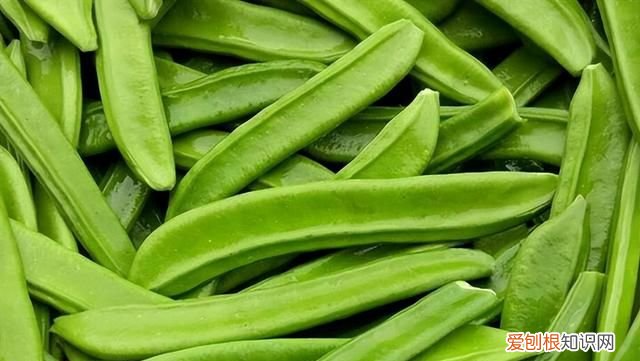 6种毒性冷门的农作物 农村常见的5种含毒农作物