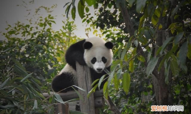 中国世界自然遗产最多的地区西南