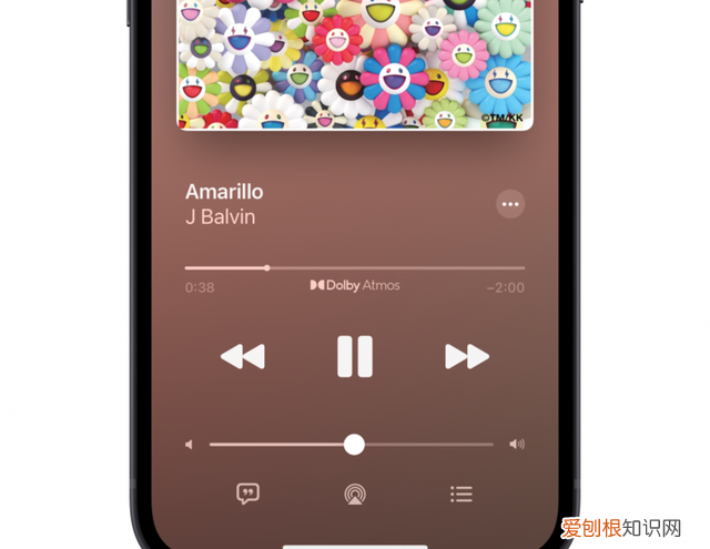 airpodspro支持无损音乐吗