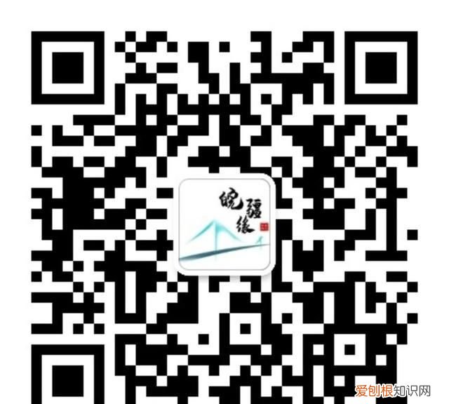 果树上的红宝石灰枣
