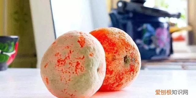 发霉的食物怎么防止中毒 禁食发霉食物,谨防中毒的措施