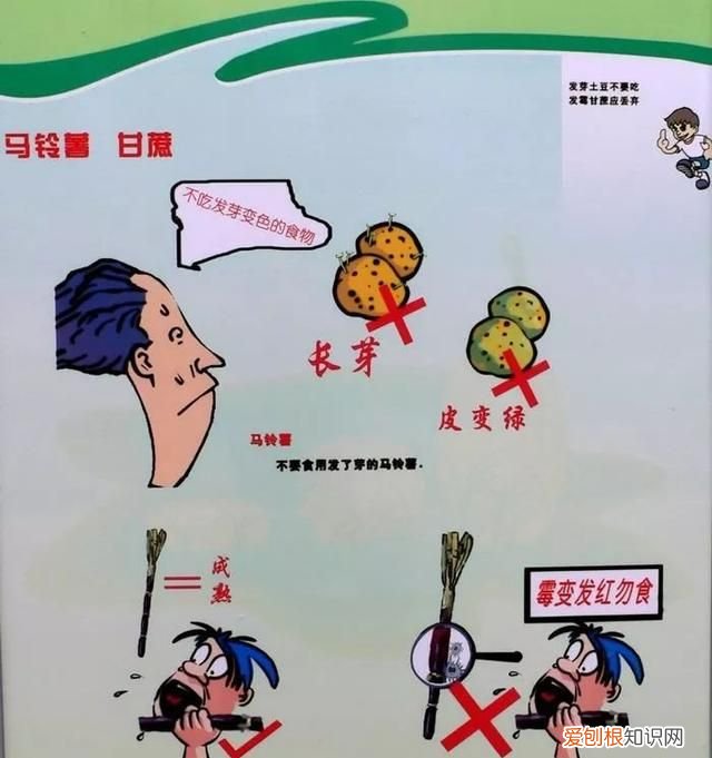 发霉的食物怎么防止中毒 禁食发霉食物,谨防中毒的措施
