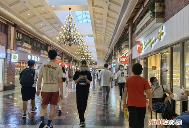 每日记录一日三餐吃什么,每日菜谱大全一日三餐