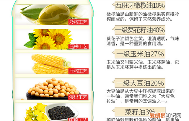 色拉油和一般的食用油有什么区别