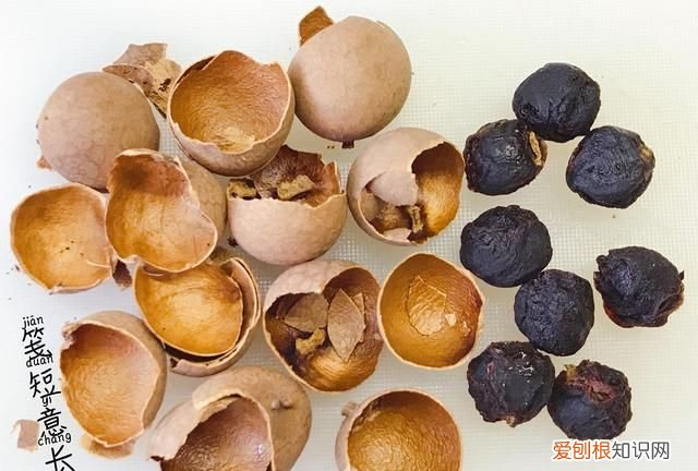 小寒时节煲什么排骨汤适合吃 小寒节气煲什么汤
