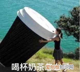 科普关于垃圾分类你了解多少
