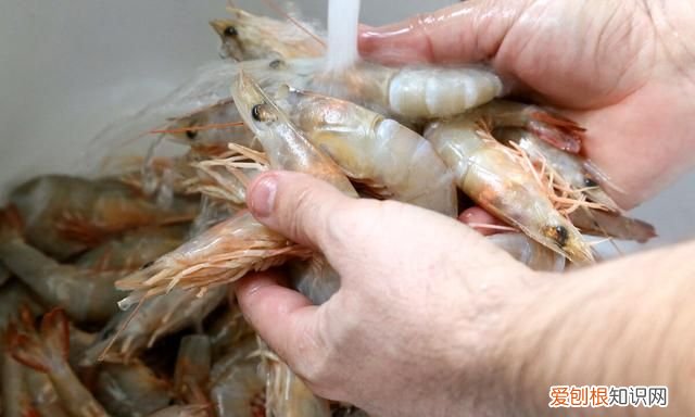 正确保存大虾的冷冻方法,新鲜大虾怎么保存2小时