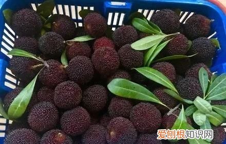 潮汕人为什么喜欢用水果蘸酱油