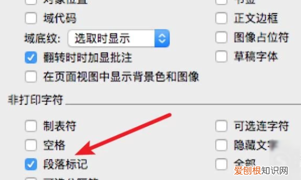 word文档不显示回车符应该怎么操作