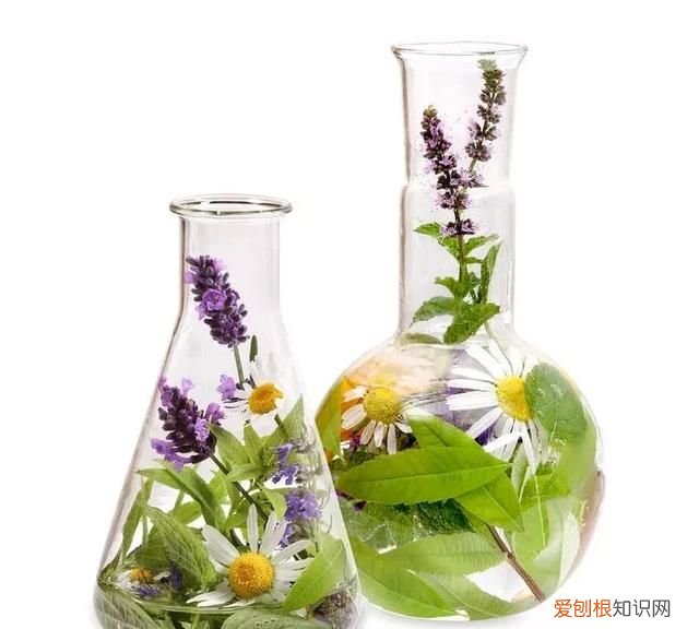 秋蚊猛如虎的真实原因 秋蚊猛如虎你该如何应对