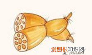 怎么简单洗藕，简笔画路涂什么颜色