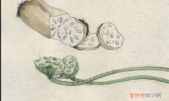 怎么简单洗藕，简笔画路涂什么颜色