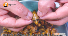 知了猴除了油炸还能怎么吃