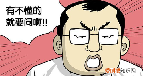 职场中的生存法则，经常被领导或老板骂怎么办