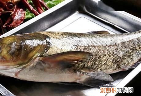 在家做一份20元不到的砂锅焗鸡腿 正宗砂锅焗鱼做法