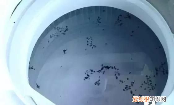 洗衣机几个月不用会坏吗