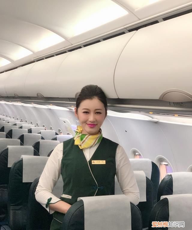 美国的狗坐飞机 从国外坐飞机能带狗吗