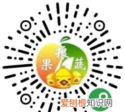 在家中可以种植葡萄吗,什么时间种,如何种植苹果