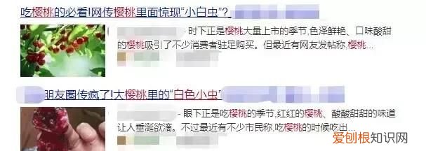 樱桃里面的小白虫吃进人体有害吗