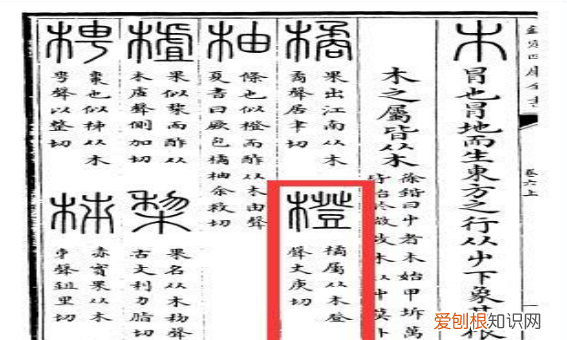 橙的拼音怎么写，橙子拼音怎么拼写