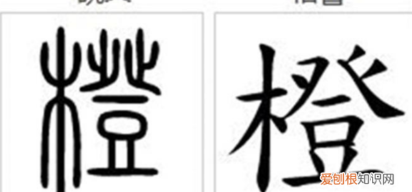 橙的拼音怎么写，橙子拼音怎么拼写