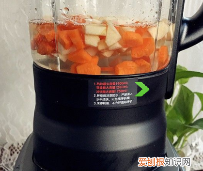 破壁机的使用方法，破壁机怎么用视频教程