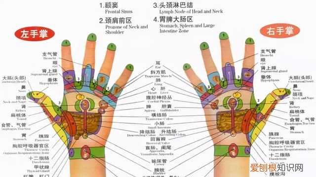冬补的食物有哪些,上火可以吃芪冬颐心口服液