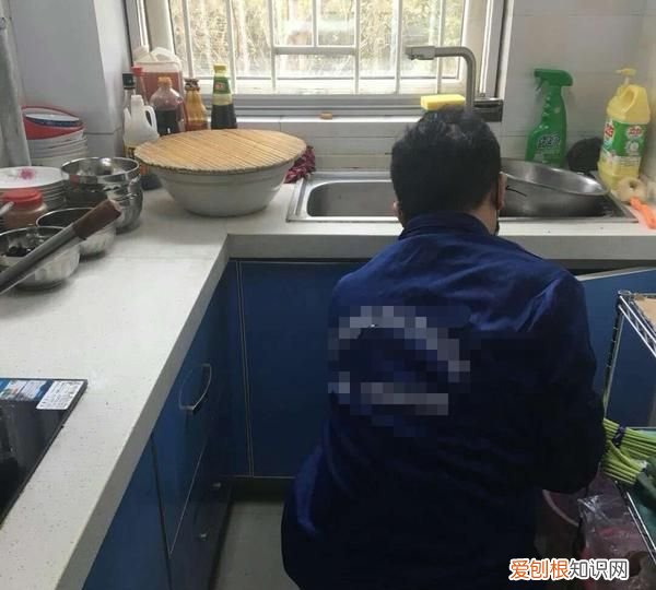 家里经常突然出现死掉的小强 家里突然出现小强是什么原因