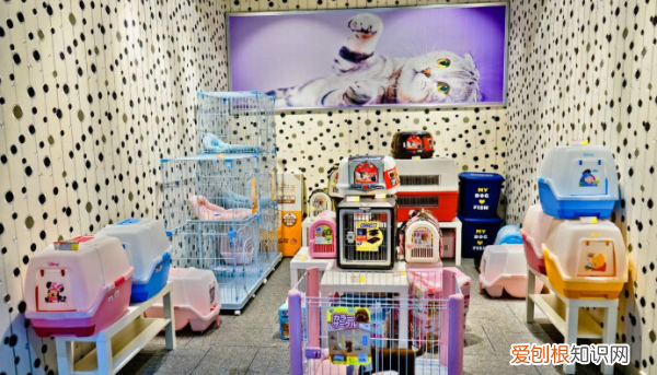 开宠物店需要什么证